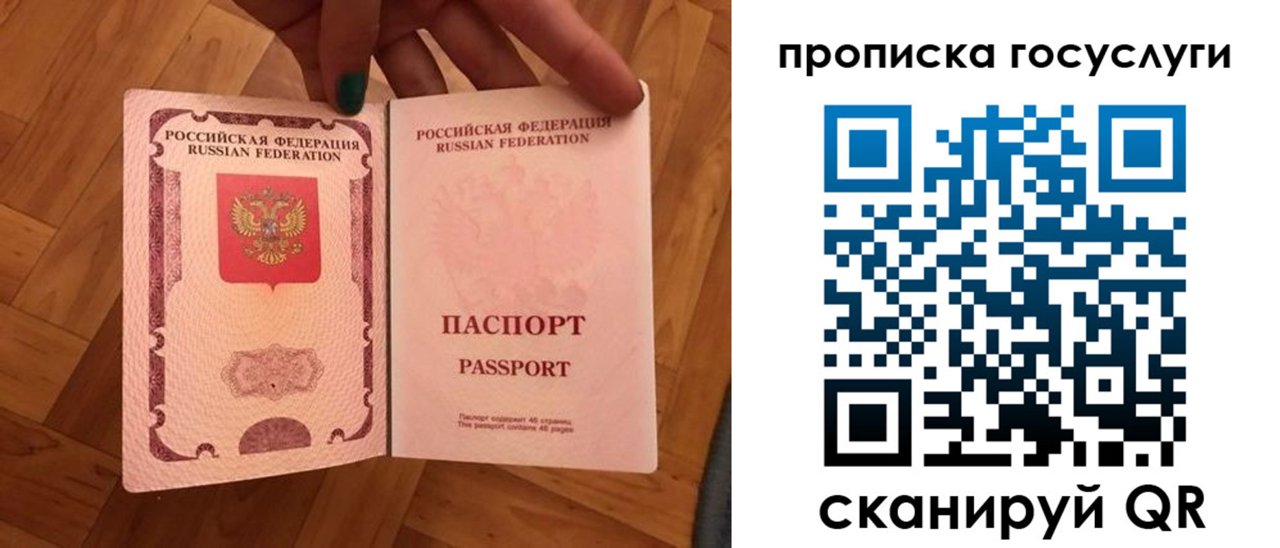 прописка в Химках