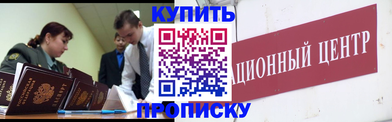 прописка поиск в Химках